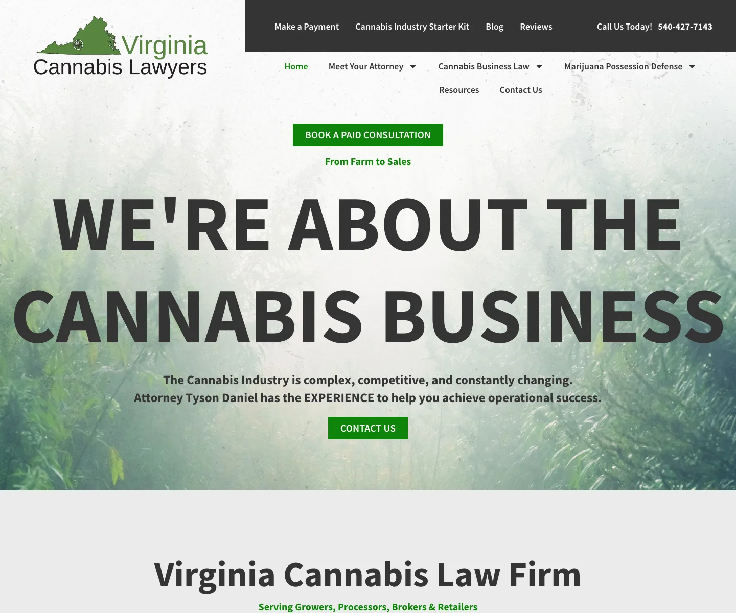 Virginia Cannabis Lawyers preview